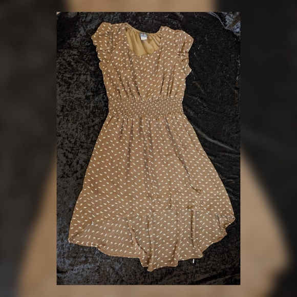 Dots Brown & White Bird Polka Dot Short Sleeve Hi-low Dress - Picture 3 of 5